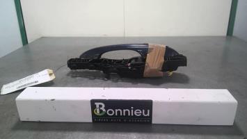 Poignee porte avant gauche