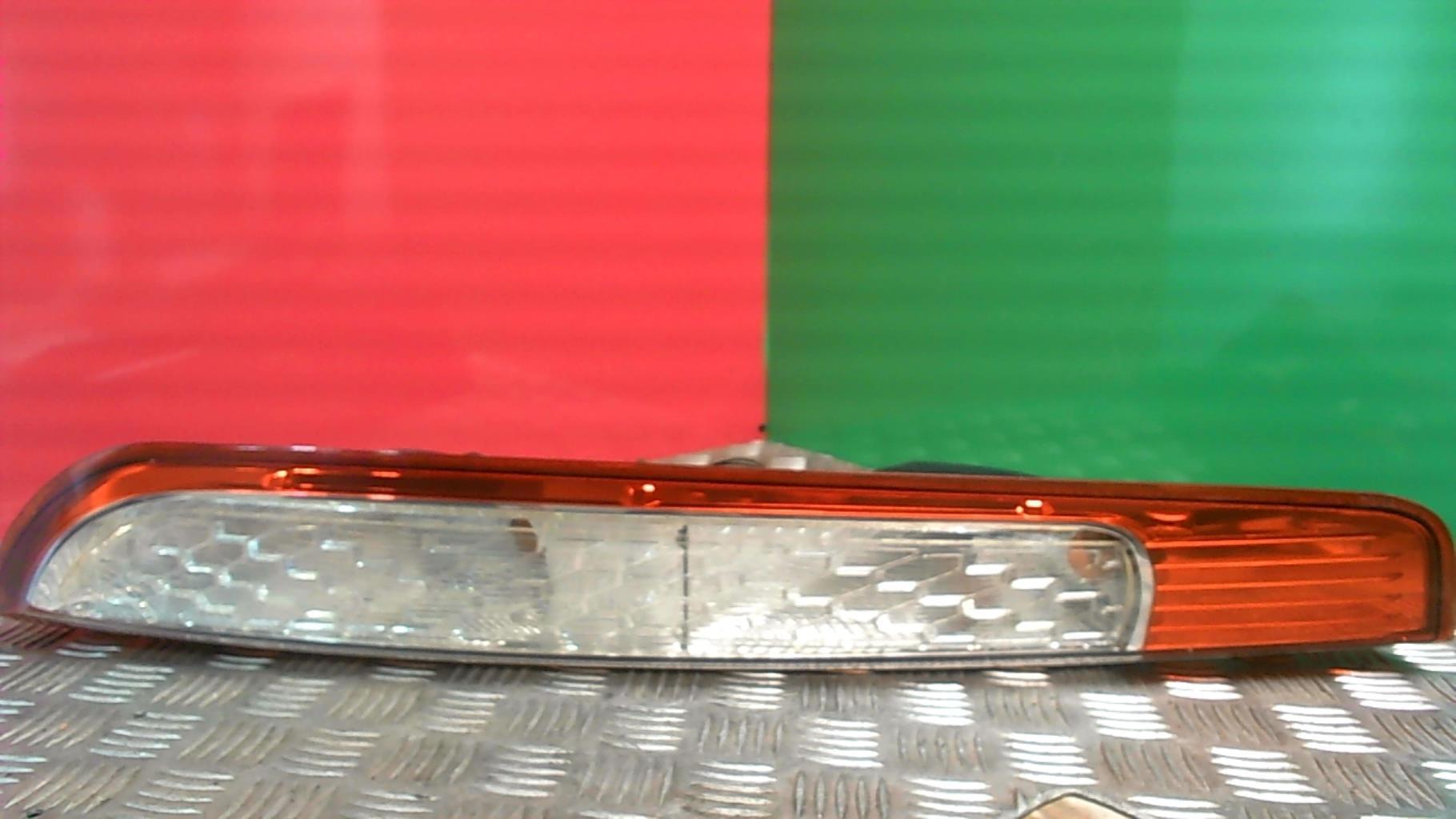 Fanale posteriore principale sinistro (luci)