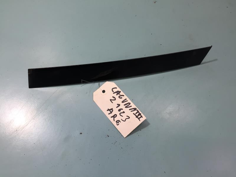 Moldura de puerta trasera izquierda 