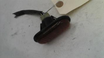 Ripetitore lampeggiante anteriore destro (Luci)