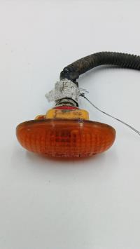 Ripetitore lampeggiante anteriore destro (Luci)