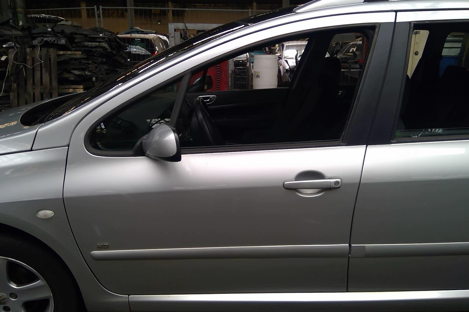 Porte avant gauche