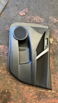 Panneau de porte avant droit