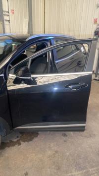 Porte avant gauche