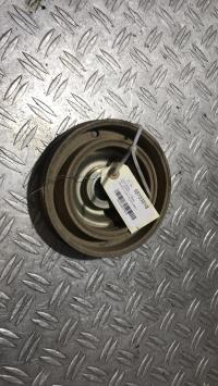 Poulie damper