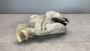 Vase de lave glace
