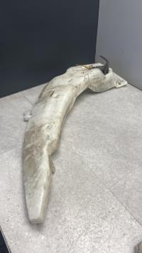Vase de lave glace