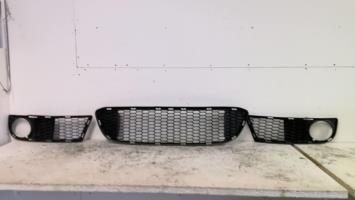 Grille de pare choc