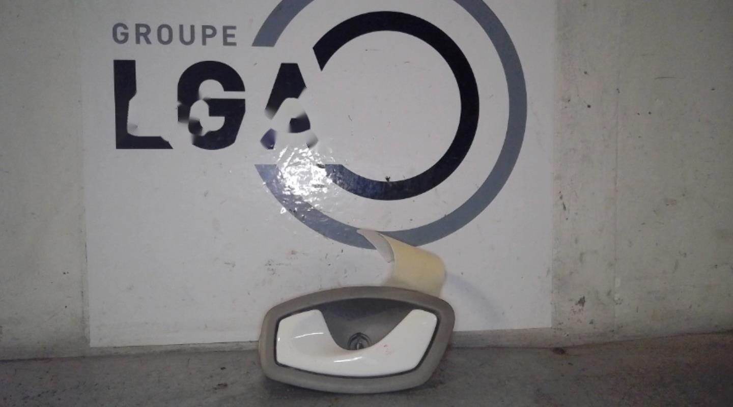 Poignee interieur arriere gauche