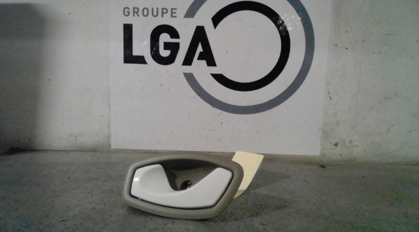 Poignee interieur avant gauche