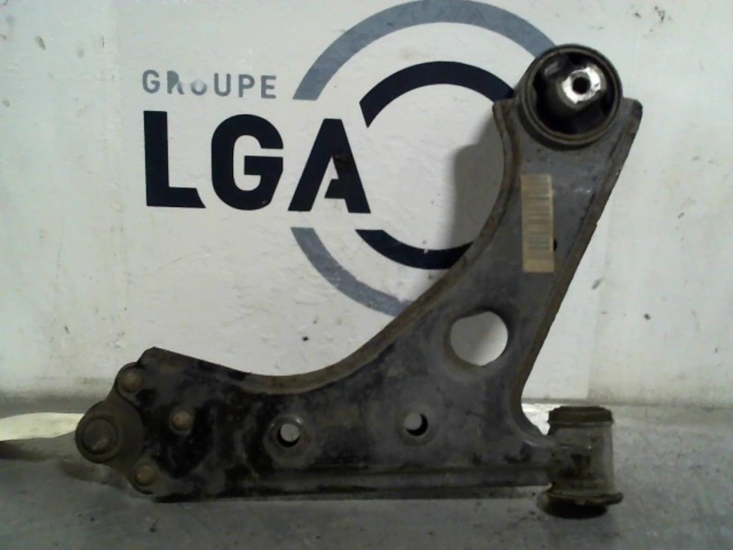 Bras inferieur avant gauche