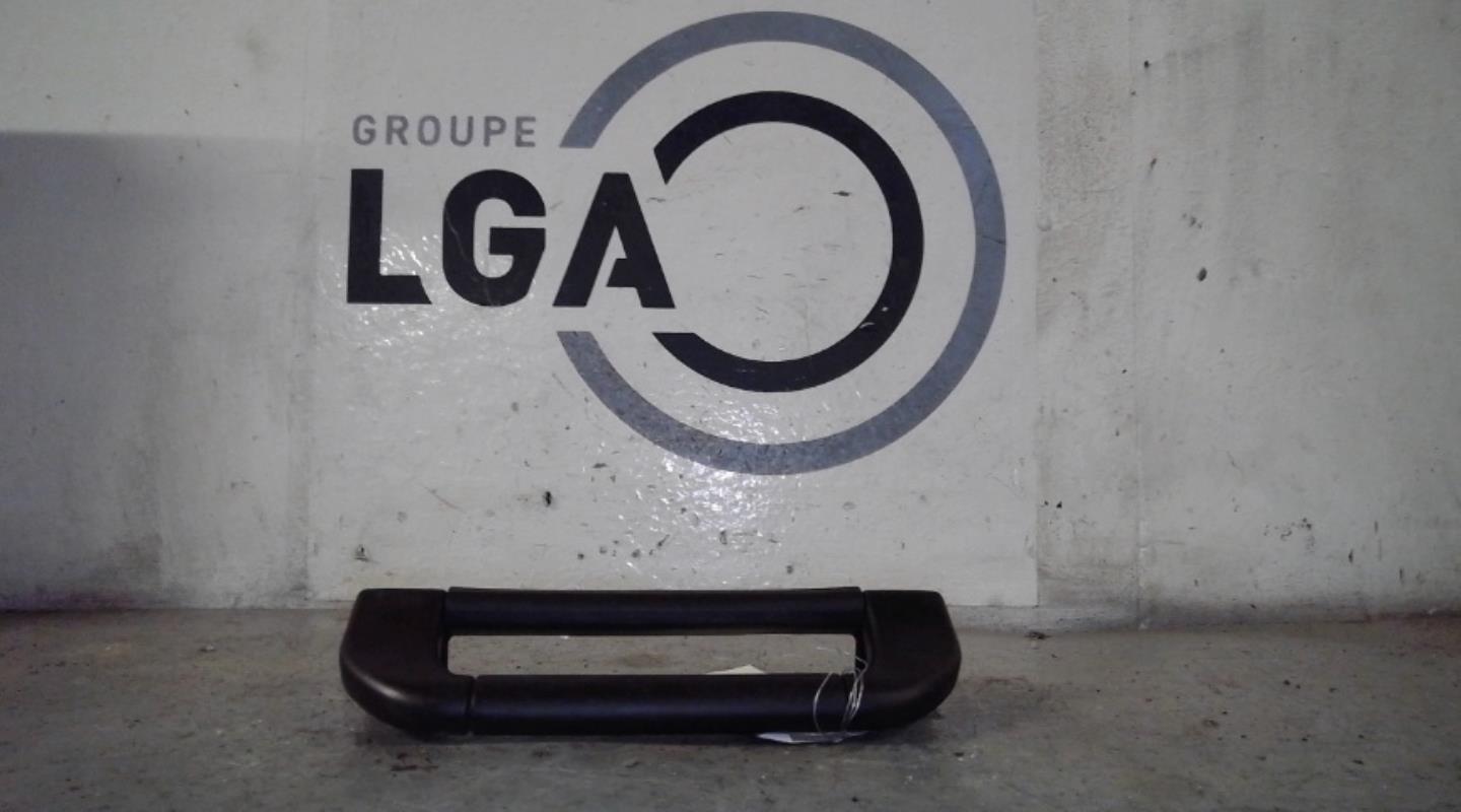 Poignee de maintien arriere gauche