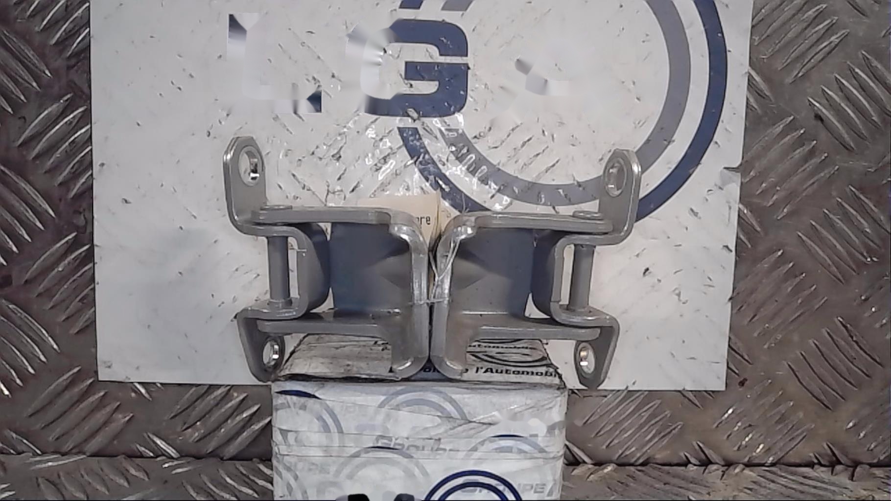 Bisagra de puerta delantera izquierda