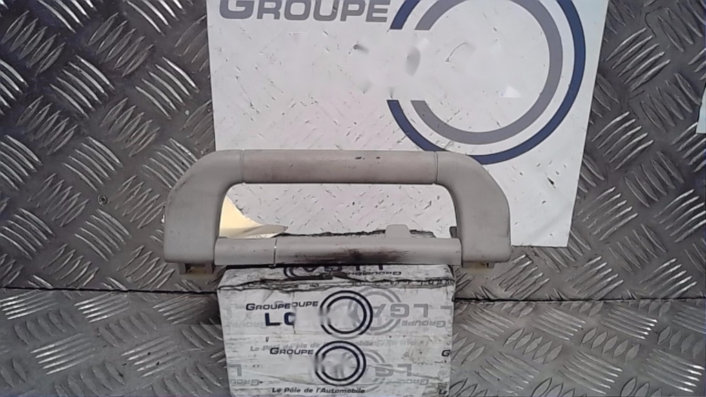 Poignee de maintien arriere gauche