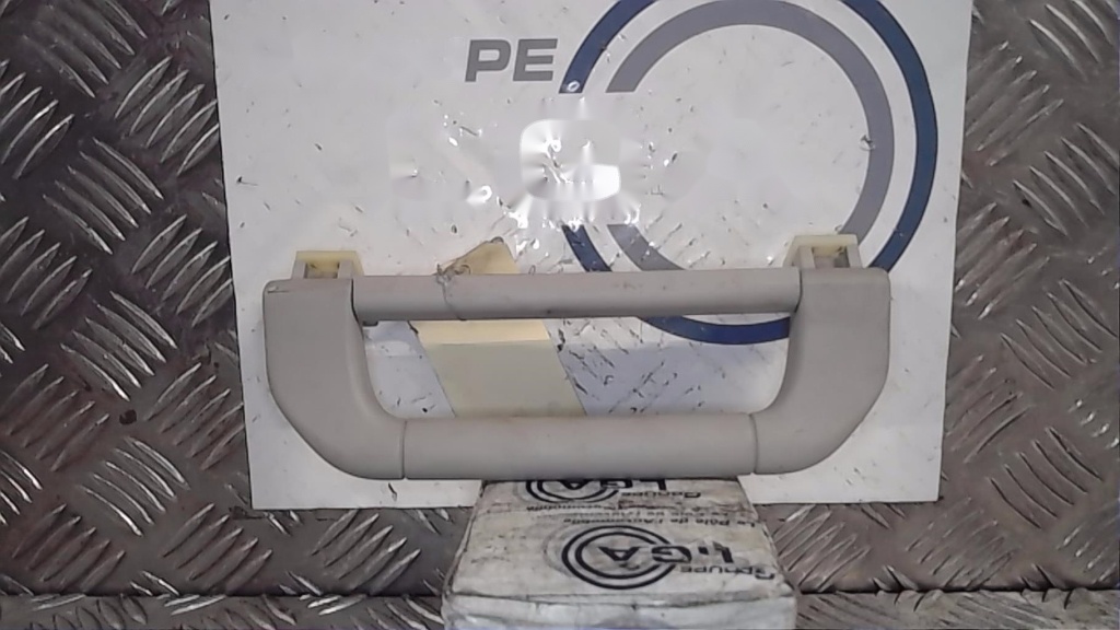Poignee de maintien avant gauche