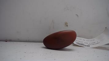 Bouton de warning
