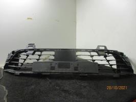 Grille de pare choc