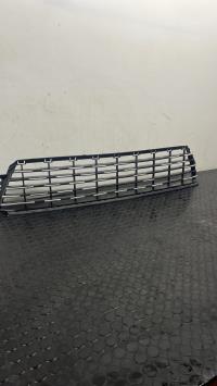 Grille de pare choc