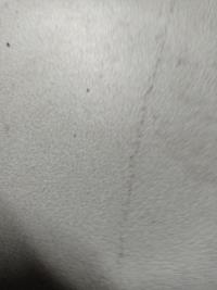 Optique avant principal gauche (feux)(phare)