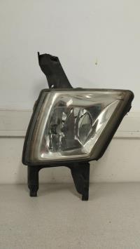 Fendinebbia sinistro (luce)