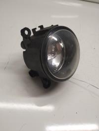 Fendinebbia destro (luci)