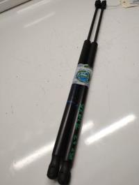 Verin de coffre