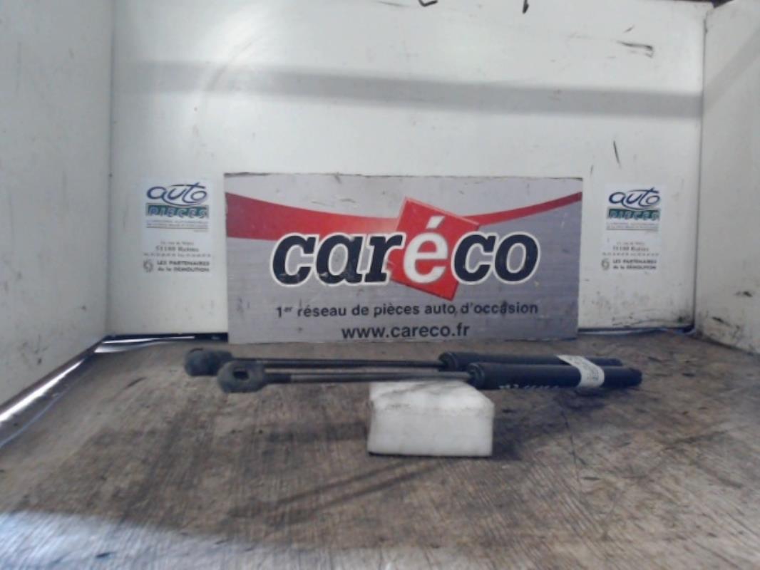 Verin de coffre