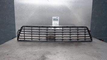 Grille de pare choc