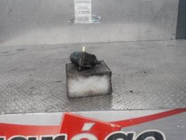 Pompe lave glace avant