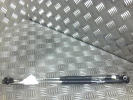 Verin de coffre