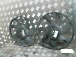 Motoventilatore radiatore