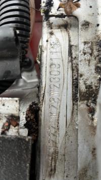 Centralina motore