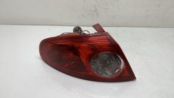 Fanale posteriore principale sinistro (luci)