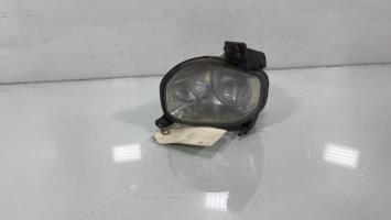 Fendinebbia sinistro (luce)