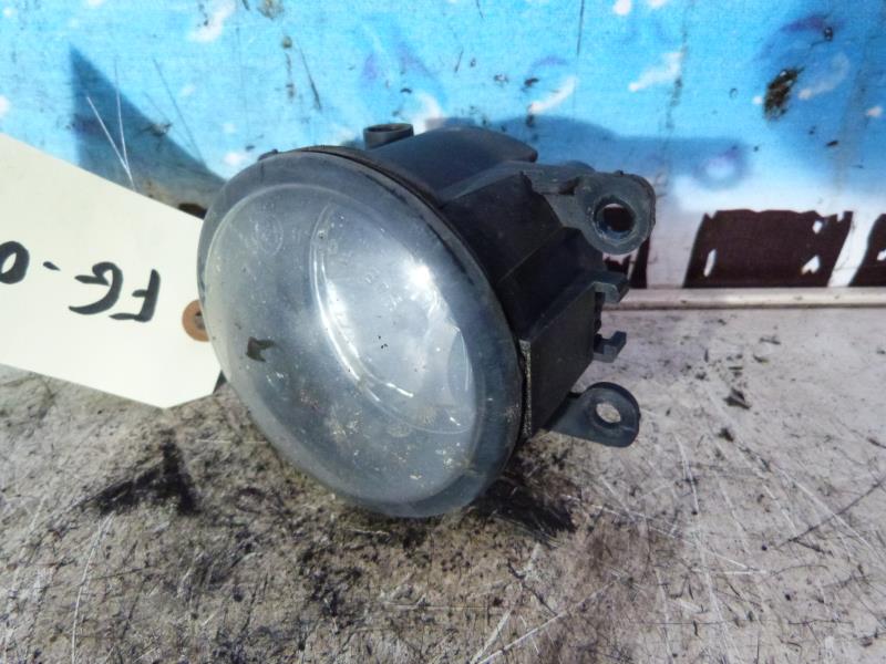 Fendinebbia sinistro (luce)