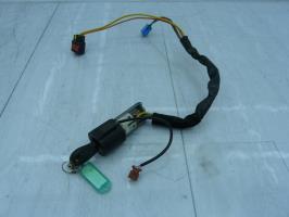 Immobilizzatore