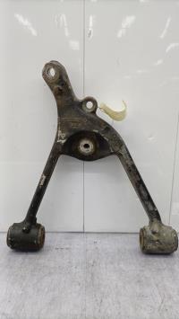 Triangolo inferiore posteriore sinistro