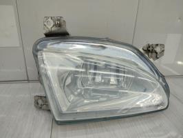 Fendinebbia sinistro (luce)