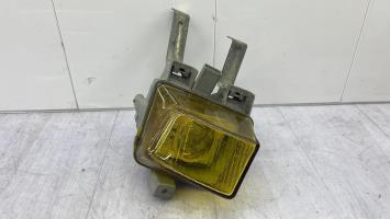Fendinebbia sinistro (luce)