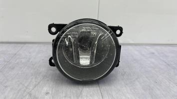 Fendinebbia sinistro (luce)