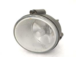 Fendinebbia sinistro (luce)