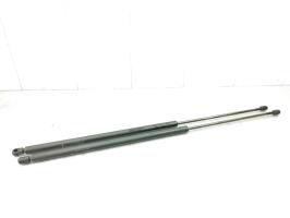 Verin de coffre