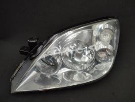 Gruppo ottico anteriore principale sinistro (luci)(faro)
