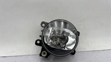 Fendinebbia sinistro (luce)