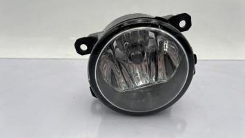 Fendinebbia sinistro (luce)