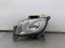 Fendinebbia sinistro (luce)