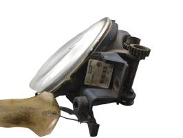 Fendinebbia sinistro (luce)