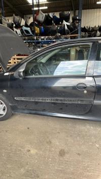 Porte avant gauche