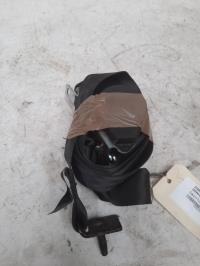 Ceinture arriere droit