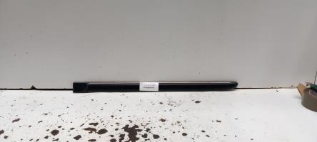 Baguette de porte arriere gauche 